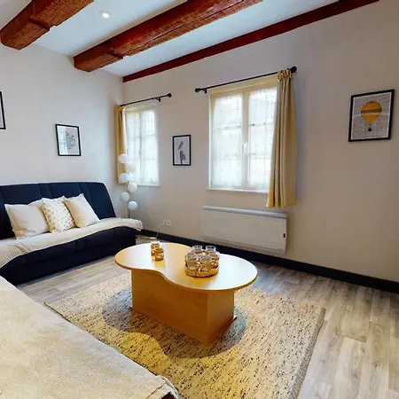 Aux Bijoux De - 1 Parking Gratuit Appartement Colmar