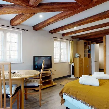 Aux Bijoux De - 1 Parking Gratuit 科尔马