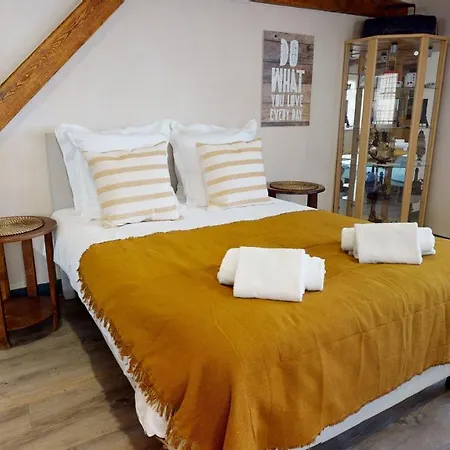 Aux Bijoux De - 1 Parking Gratuit Appartement Colmar