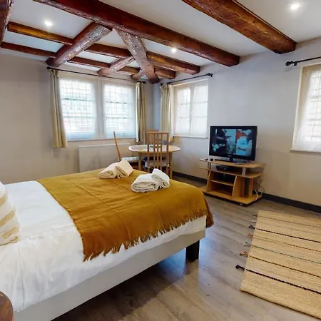 Aux Bijoux De - 1 Parking Gratuit 公寓 科尔马