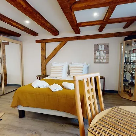 Aux Bijoux De - 1 Parking Gratuit Appartement Colmar