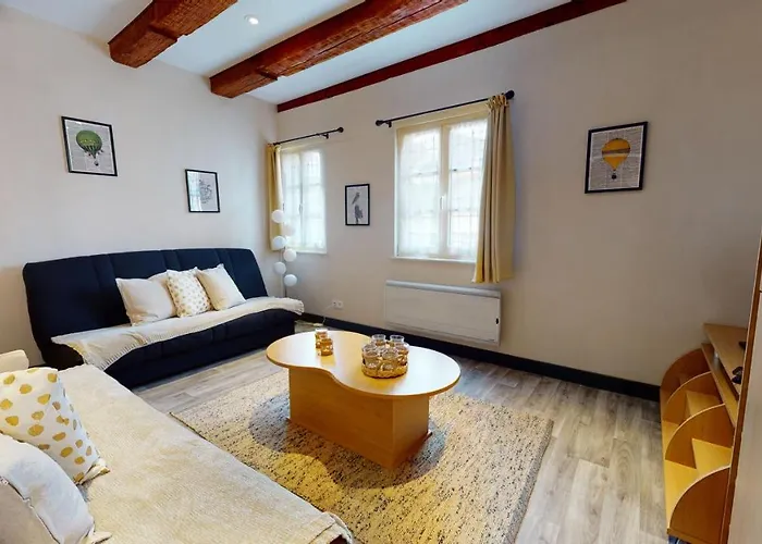 Aux Bijoux De - 1 Parking Gratuit 公寓 科尔马