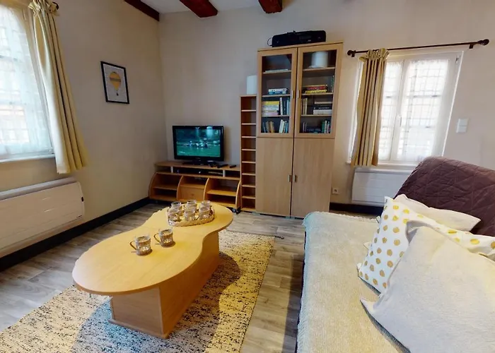 公寓 Aux Bijoux De - 1 Parking Gratuit 科尔马