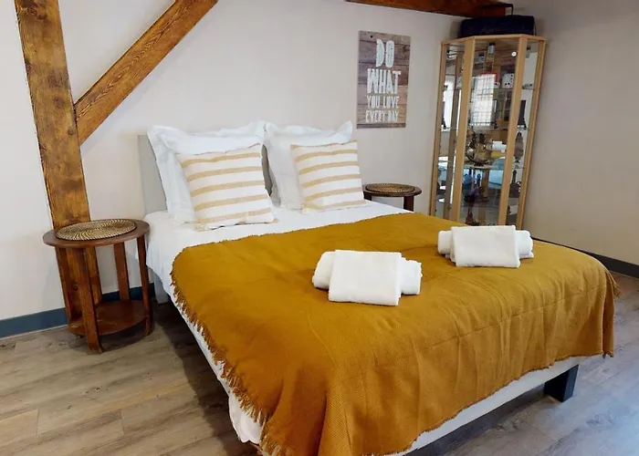 Aux Bijoux De - 1 Parking Gratuit 公寓 科尔马