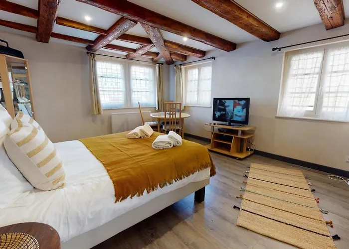 Aux Bijoux De - 1 Parking Gratuit 公寓 科尔马