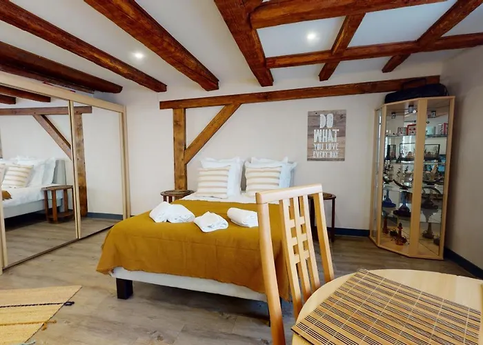 Aux Bijoux De - 1 Parking Gratuit 公寓 科尔马